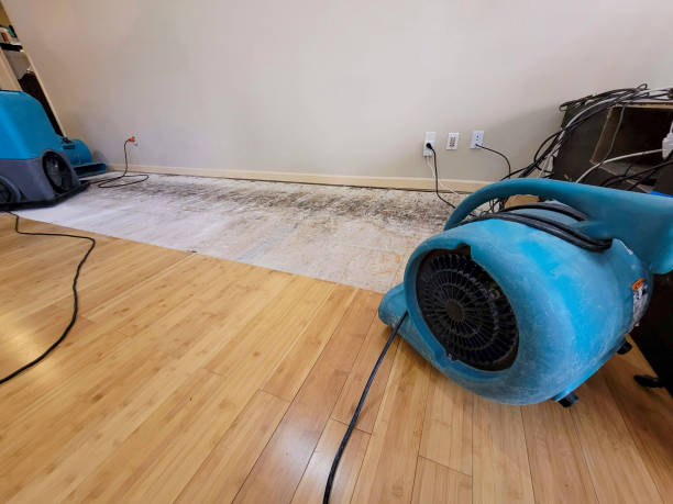 Professional Structural Drying technician working in Walker, MI